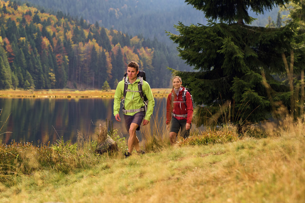 Region Bayerischer Wald