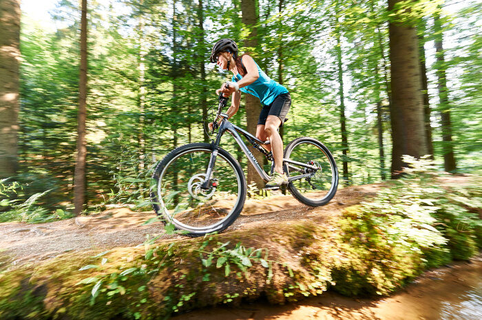 Eine Frau fährt durch einen Wald in Bodenmais im Bayerischer Wald.