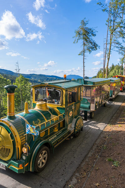 Ein grüner und gelber Zug fährt durch den Nationalpark Bayerischer Wald.
