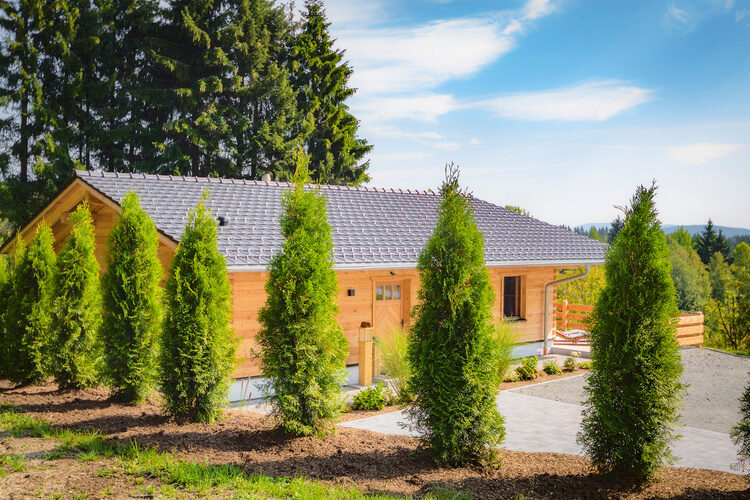 Das Wistlberg-Haus von dichten Nadelbäumen umsäumt.