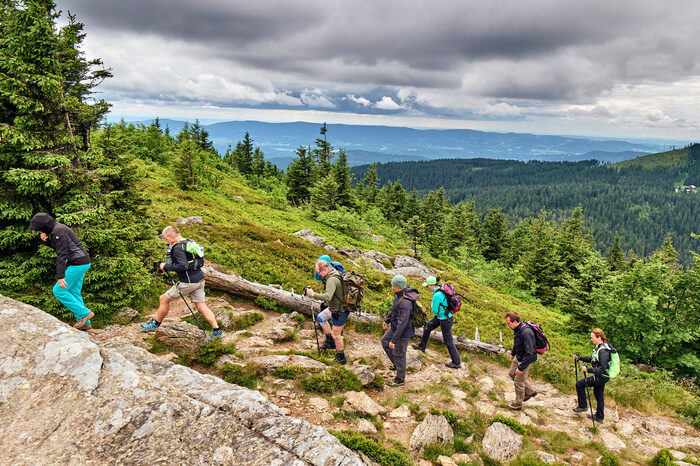 Eine Gruppe von Wanderern erklimmt den Arber im Bayerischen Wald.