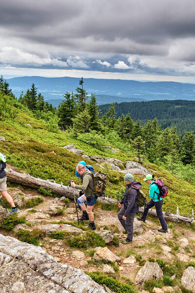 Eine Gruppe von Wanderern erklimmt den Arber im Bayerischen Wald.